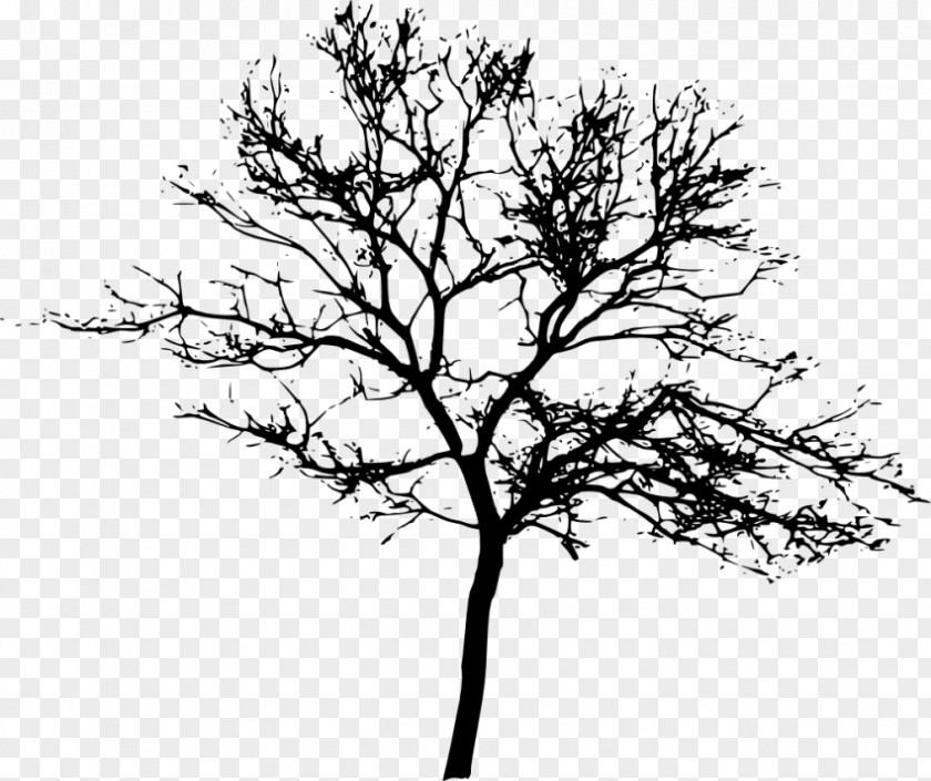 Tree Desktop Wallpaper Clip Art PNG