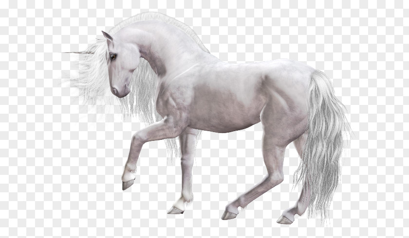 Unicorn Pony Mane Mustang Clip Art PNG
