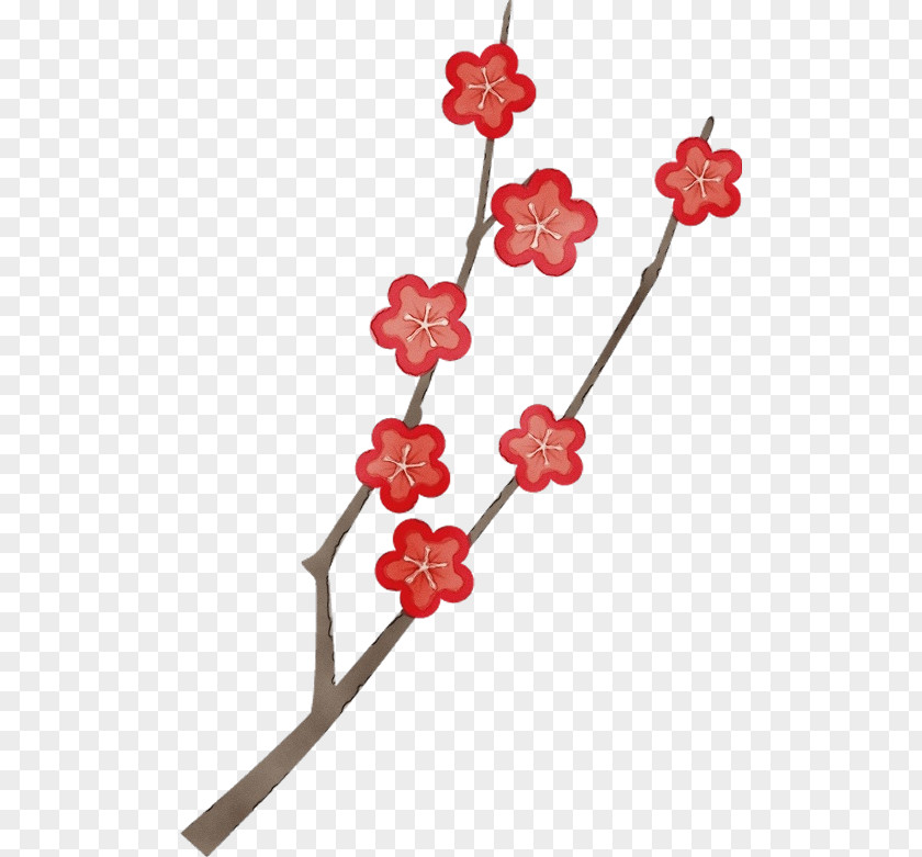 Cut Flowers Viburnum Cherry Blossom PNG