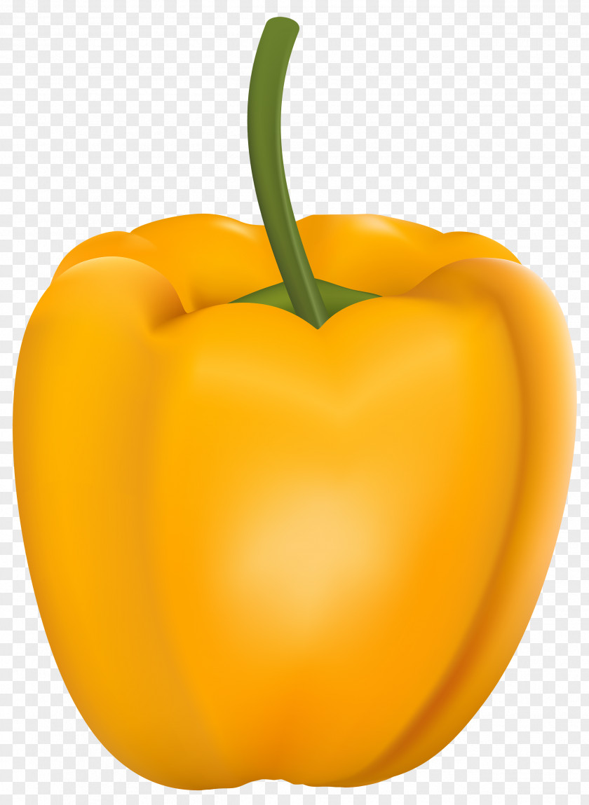 Pepper Bell Capsicum Vegetable Clip Art PNG