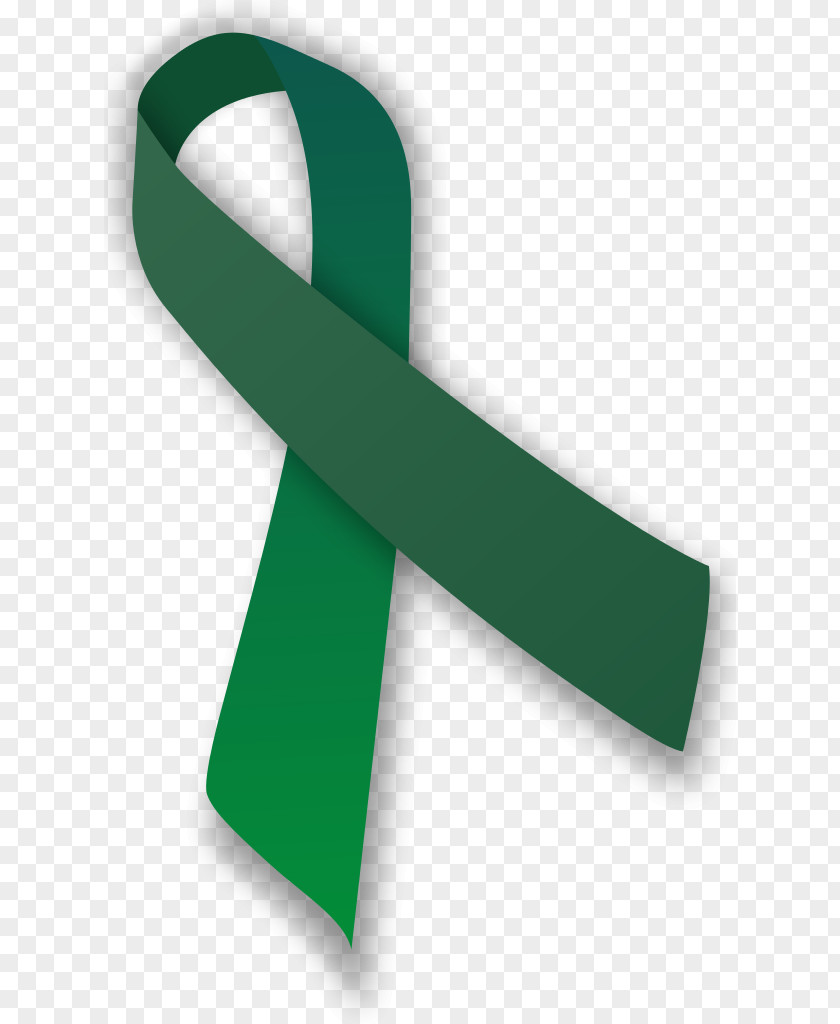 Ribbon Awareness Green Chronic Fatigue Syndrome Cerebral Palsy PNG