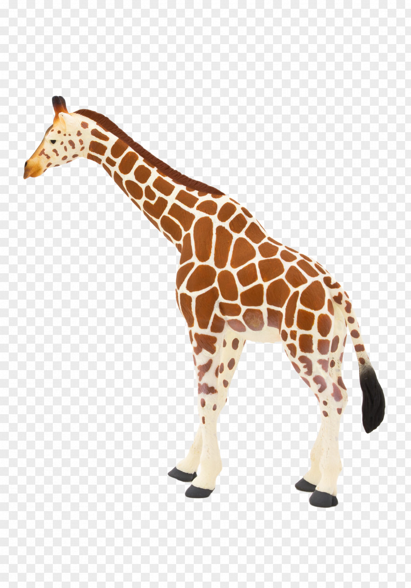 Toy Northern Giraffe Lion Animal Leopard PNG