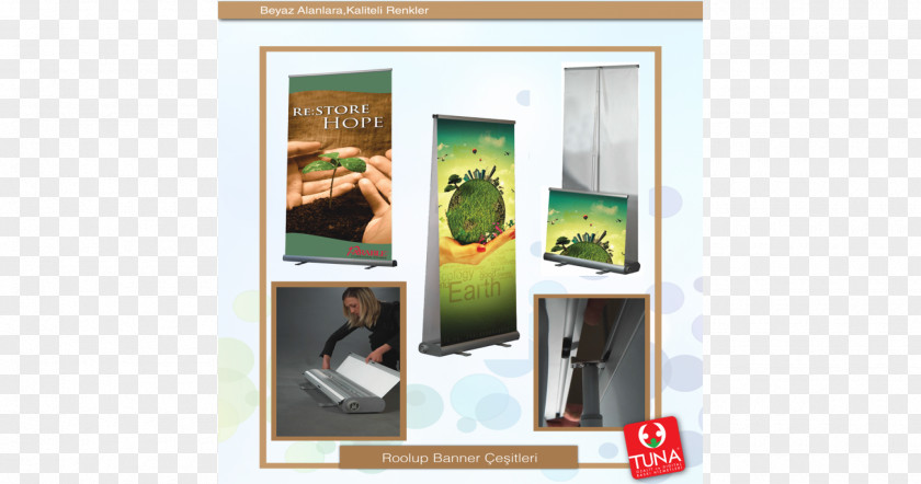 Window Shelf Display Advertising Picture Frames PNG