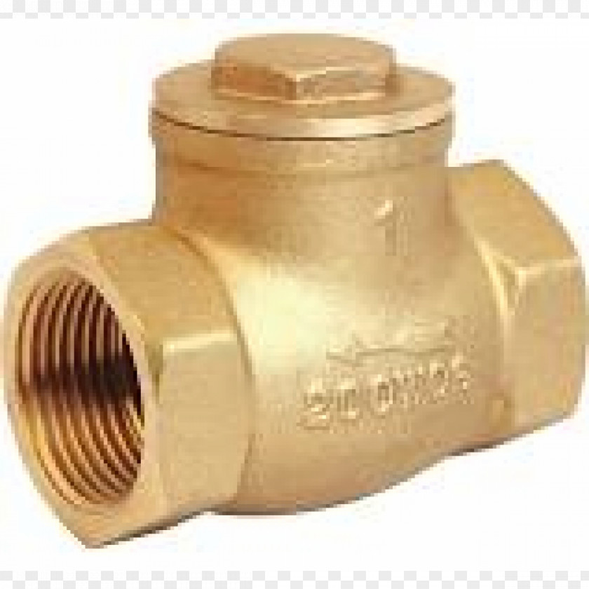 Check Valve Brass Ball National Pipe Thread PNG