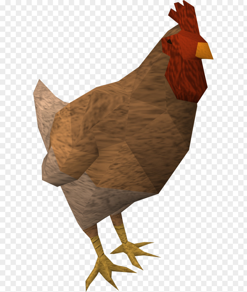 Chicken Bird Phasianidae Poultry Fowl PNG