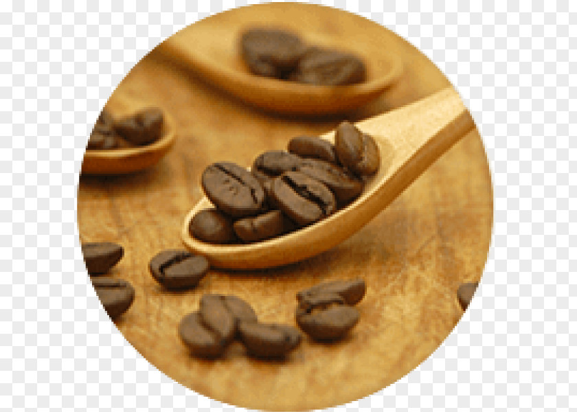 Coffee Jamaican Blue Mountain Espresso Bean Brewed PNG