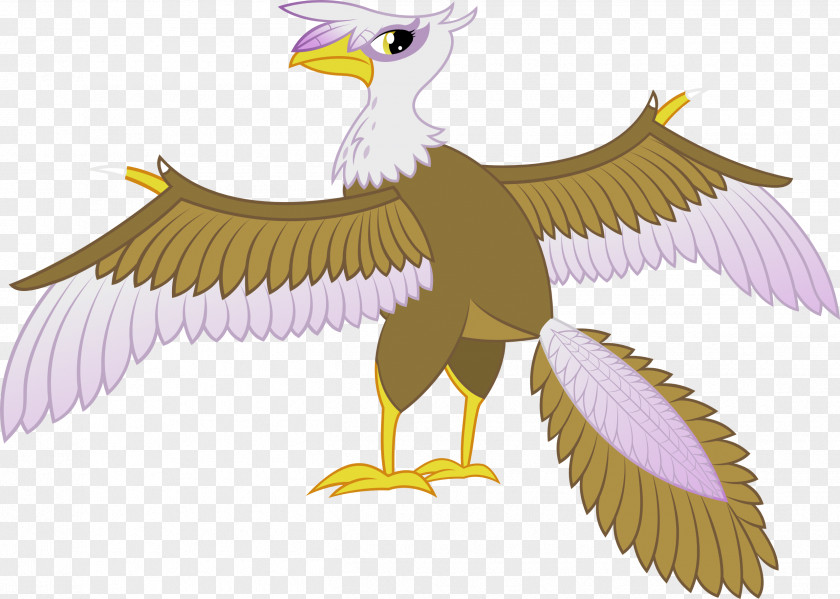 Eagle Bald Cartoon Beak PNG