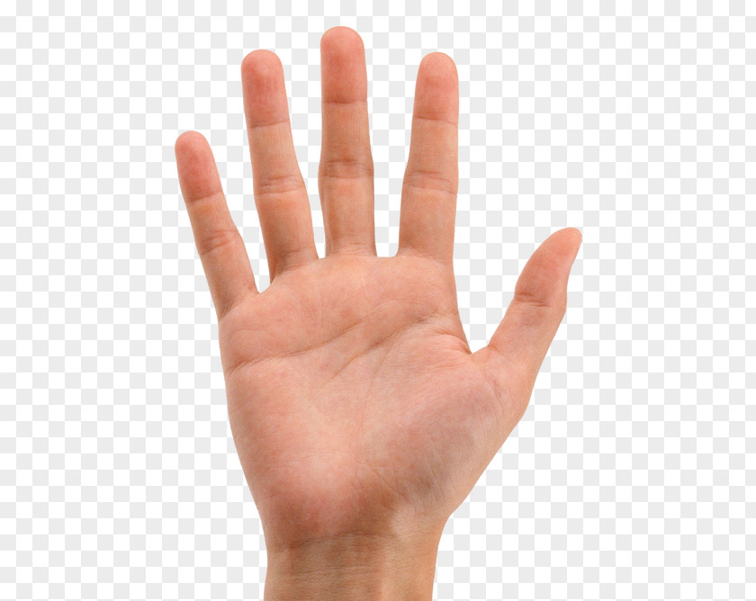 Hands 3 Hand Little Finger Index PNG