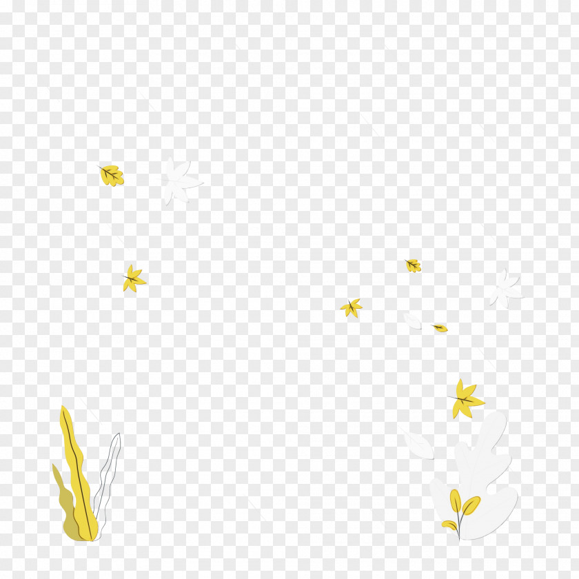 Insect Pollinator Flower Petal Leaf PNG