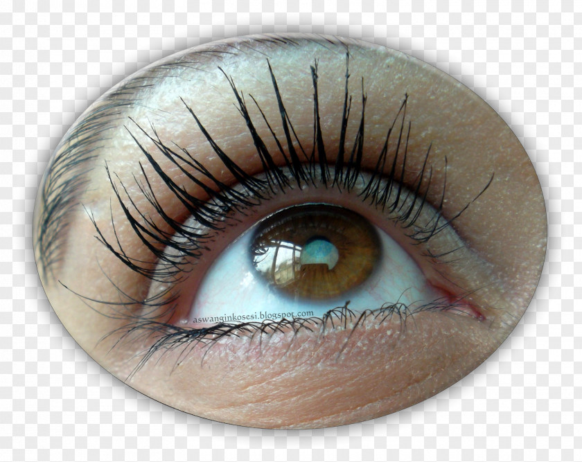 Maskara Eyelash Extensions Mascara Eye Shadow Maybelline PNG