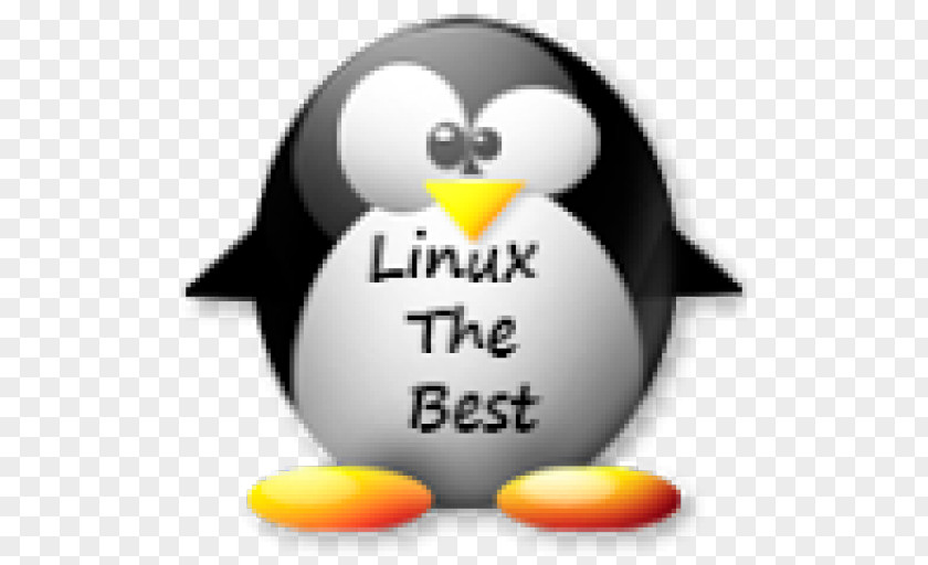 Penguin Algorithm Google H5P Panda PNG