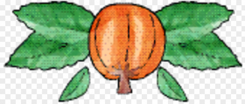 Plant Plants Fruit Tree PNG