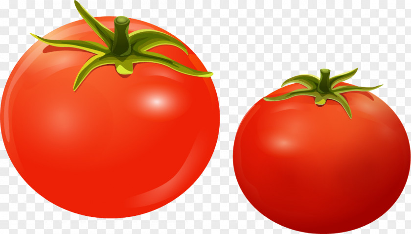 Red Tomatoes Cherry Tomato Sticker Color PNG