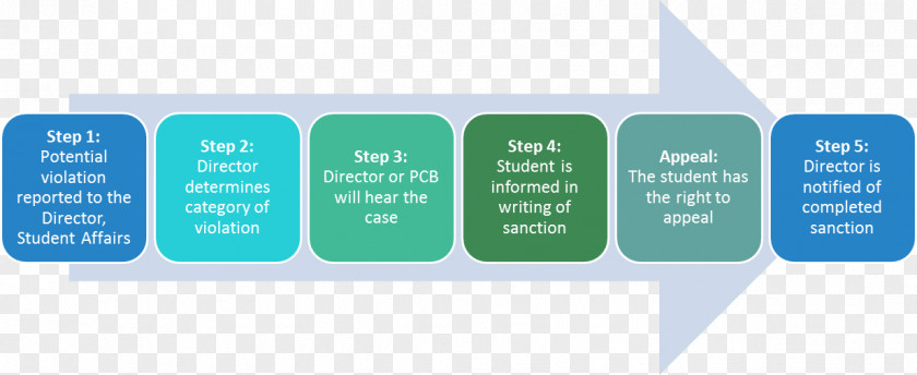 Step Flow Chart Student Rights In Higher Education Essay College School PNG