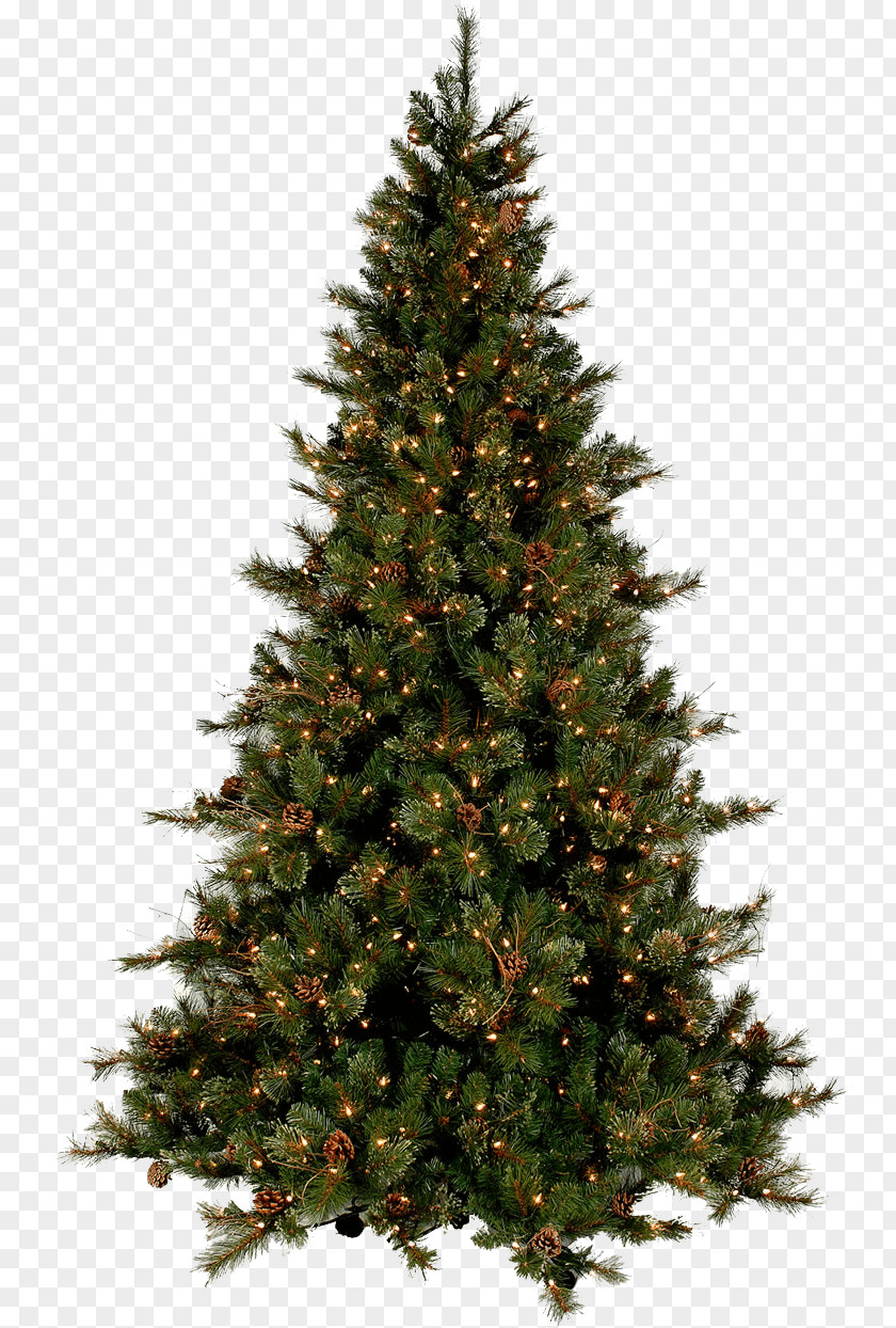 A Christmas Tree Ornament PNG