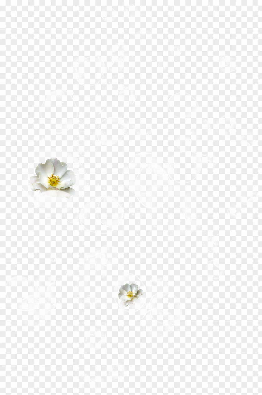 Bubbles Image Earring White Yellow PNG
