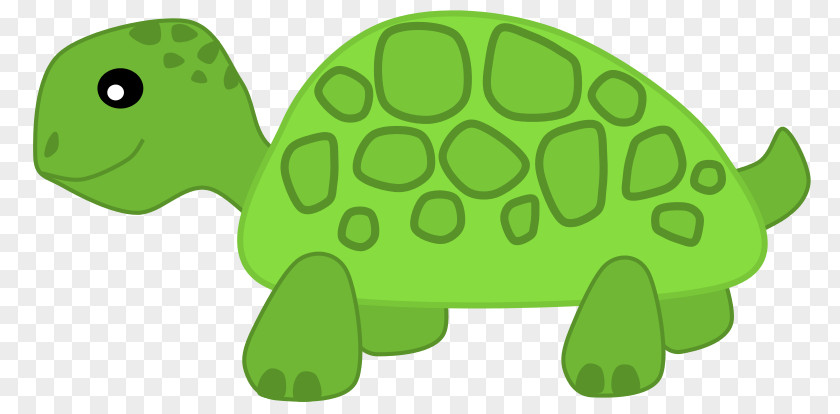 Cartoon Turtles Images Turtle Herbivore Clip Art PNG