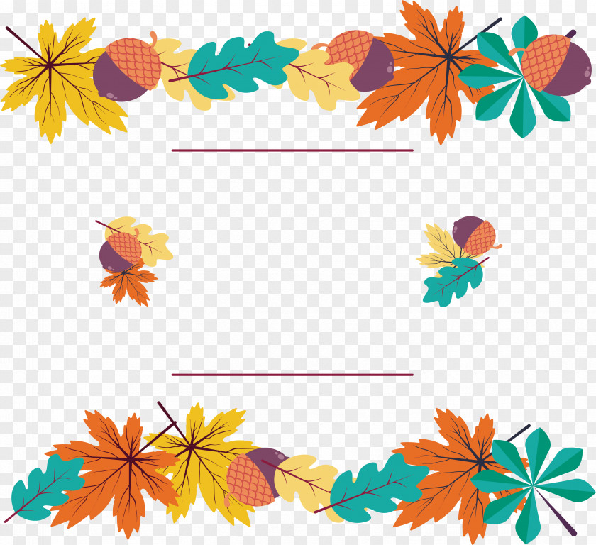 Colorful Autumn Leaves Deciduous Leaf Euclidean Vector PNG