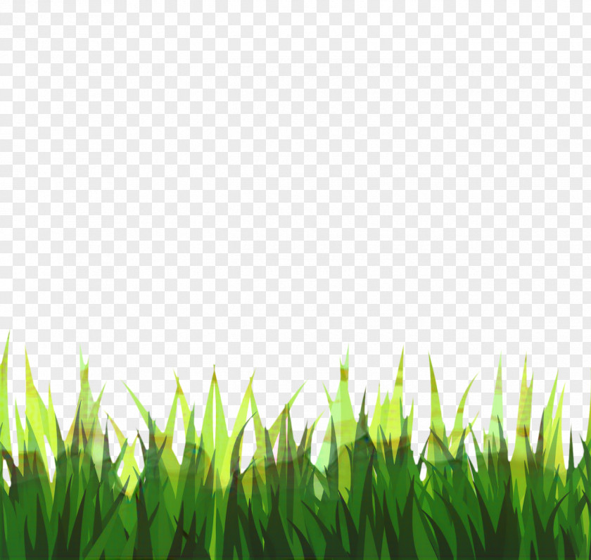 Fodder Grassland Green Grass Background PNG