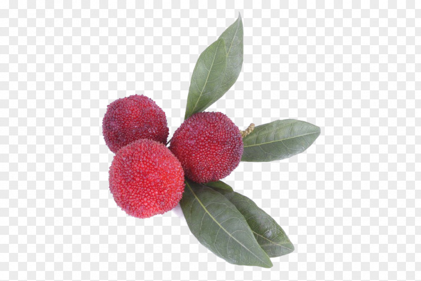 Strawberry,fruit,fresh Berry Morella Rubra Food Auglis Fruit PNG