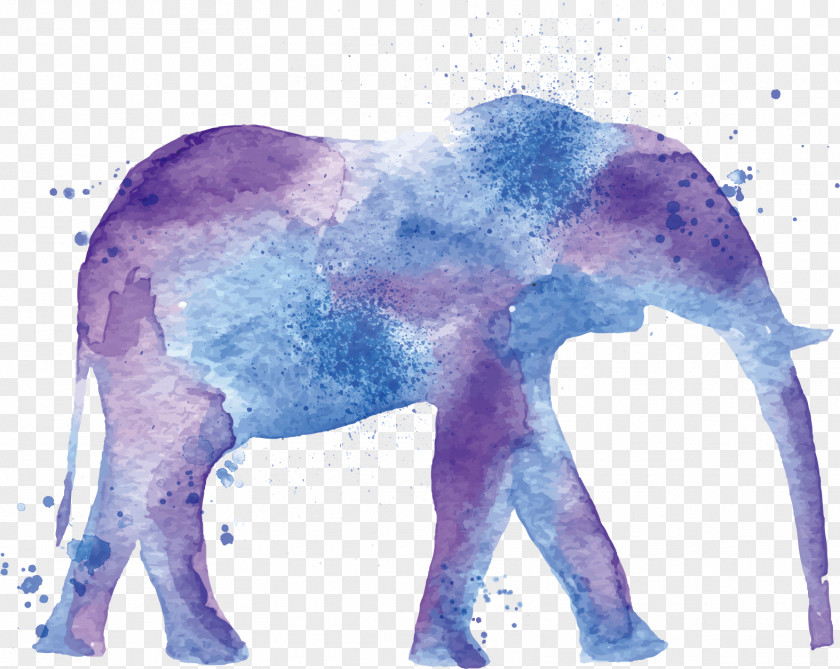 Vector Elephant Watercolor Painting Illustration PNG