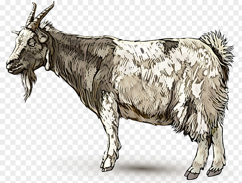 Bovine Cow-goat Family Ox Horn Livestock PNG