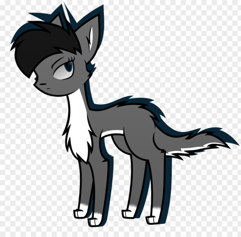 Cat Whiskers Pony Horse Dog PNG