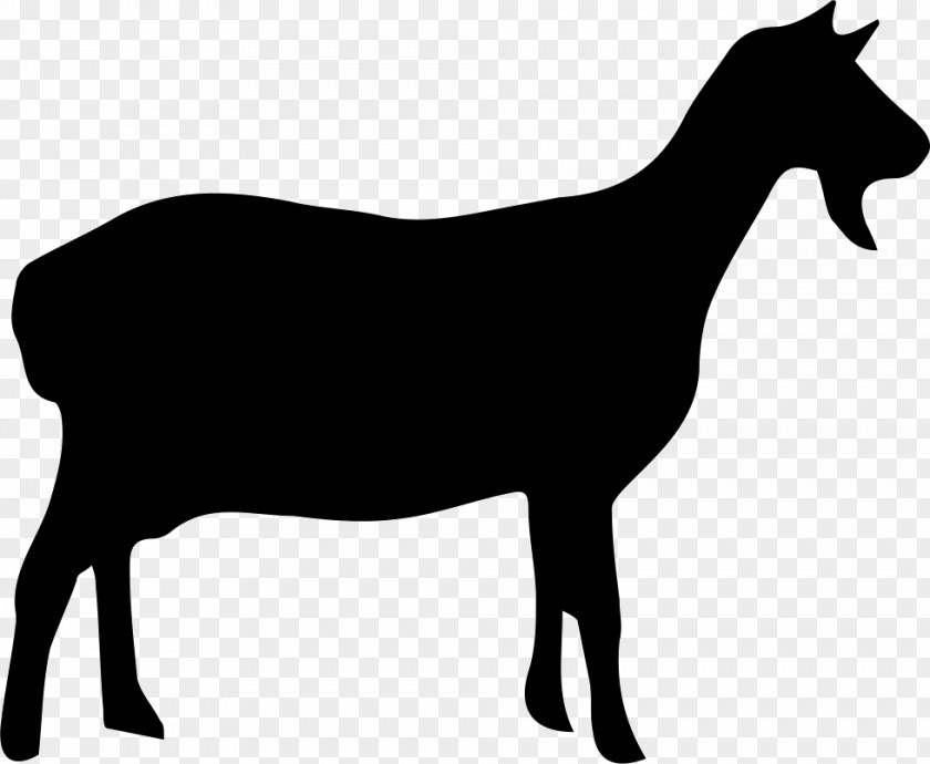 Horse Clip Art Vector Graphics Image PNG