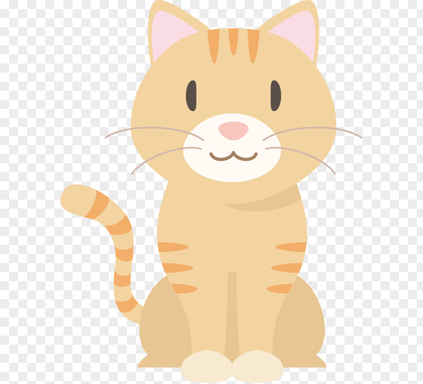 Kitten Whiskers Tabby Cat Food PNG