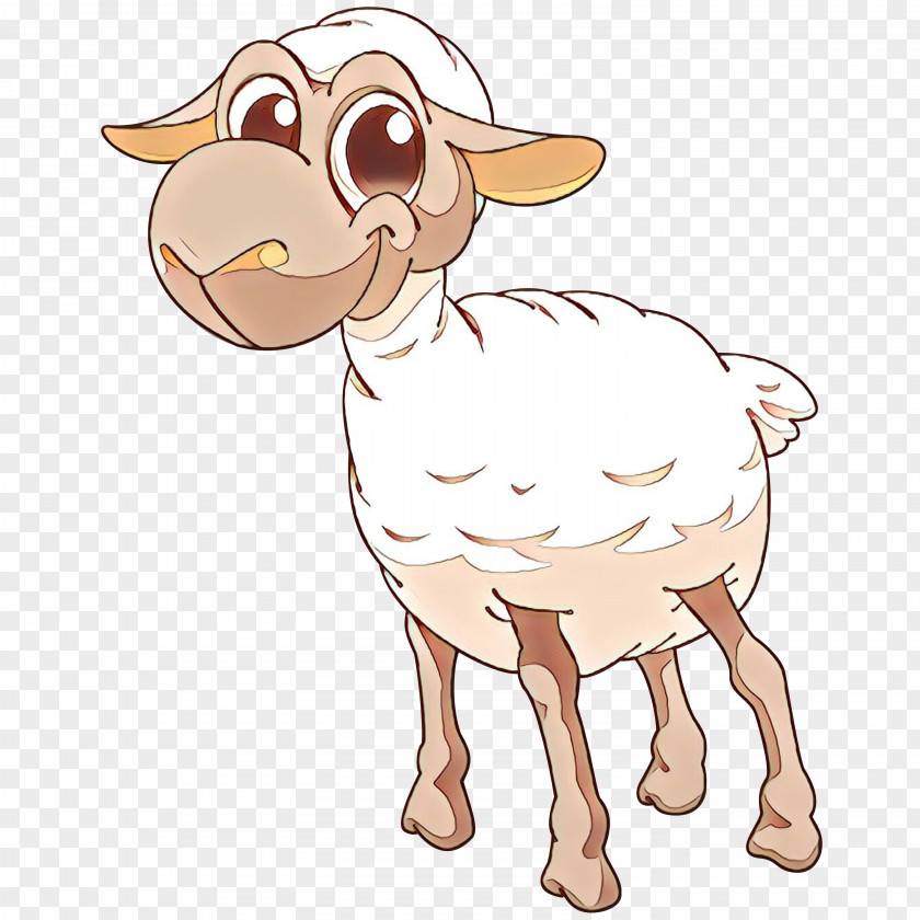Sheep Clip Art Cattle Goat Snout PNG