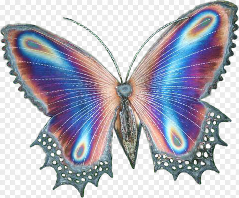 Wings Psd Brush-footed Butterflies Glasswing Butterfly Insect Clip Art PNG