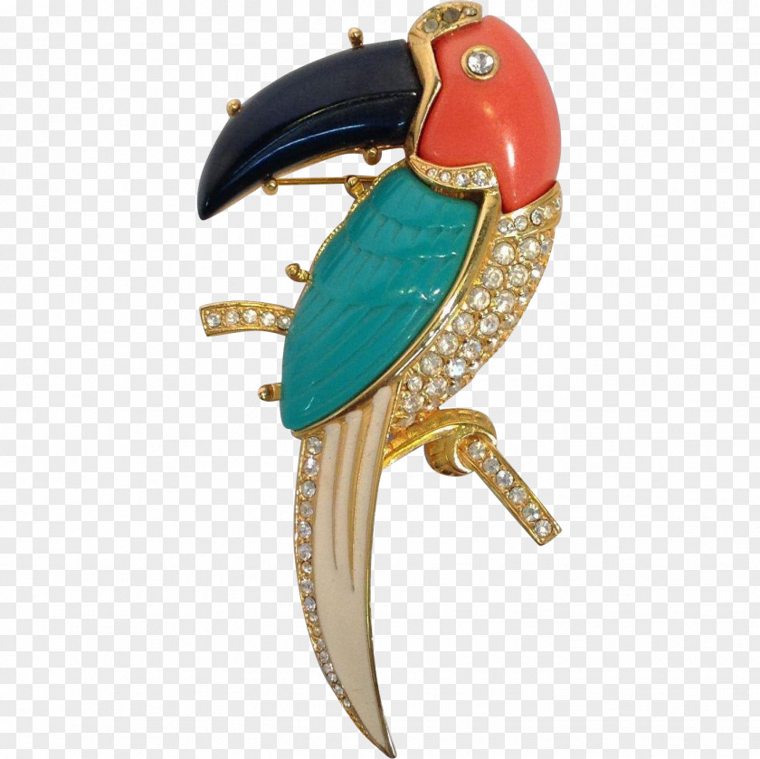 Brooch Parrot Jewellery Macaw Turquoise Clothing Accessories PNG