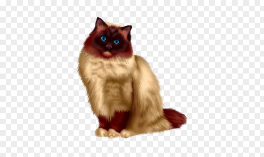 Cartoon Cat Ragdoll Birman Persian Russian Blue Kitten PNG