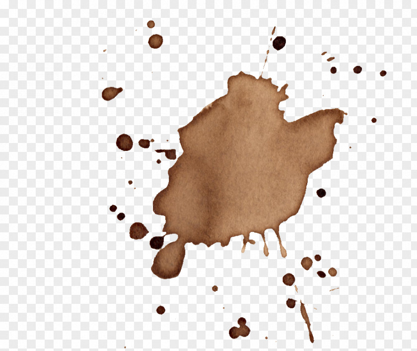 Coffee Stain Organism Point Font PNG