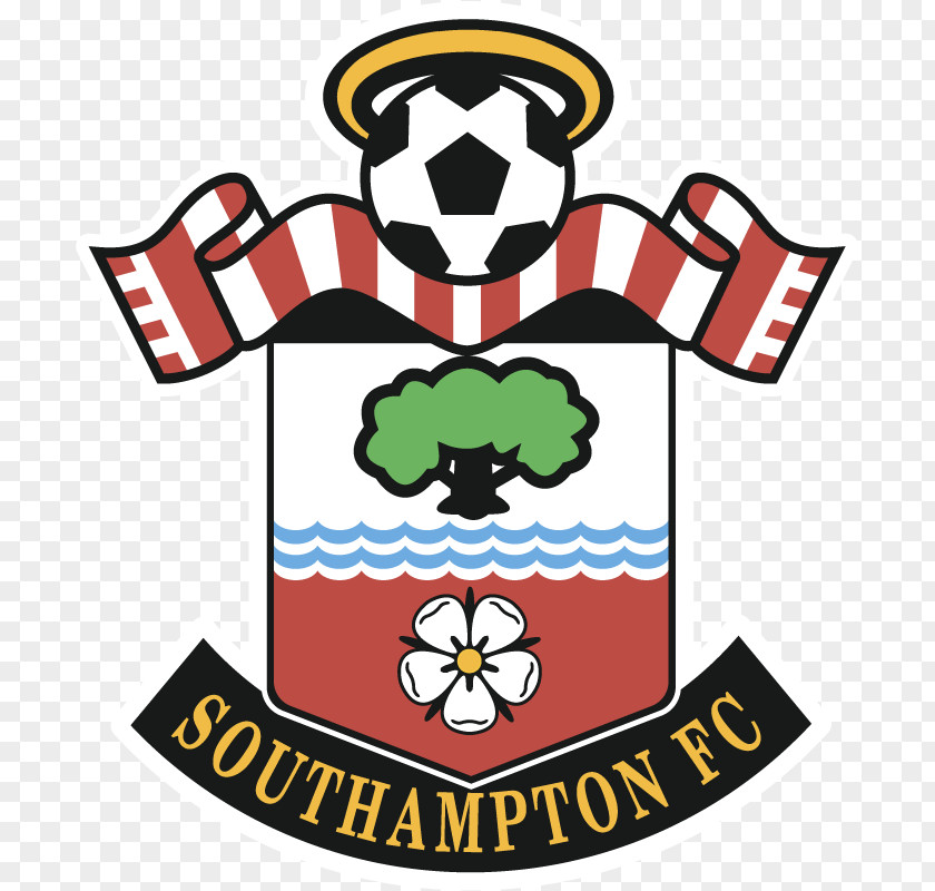 Football St Mary's Stadium Southampton F.C. Manchester United 2012–13 Premier League PNG