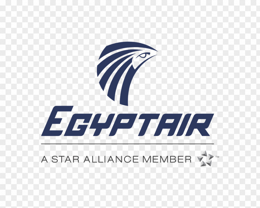 Hurghada International Airport Cairo Borg El Arab EgyptAir Airbus A330 PNG
