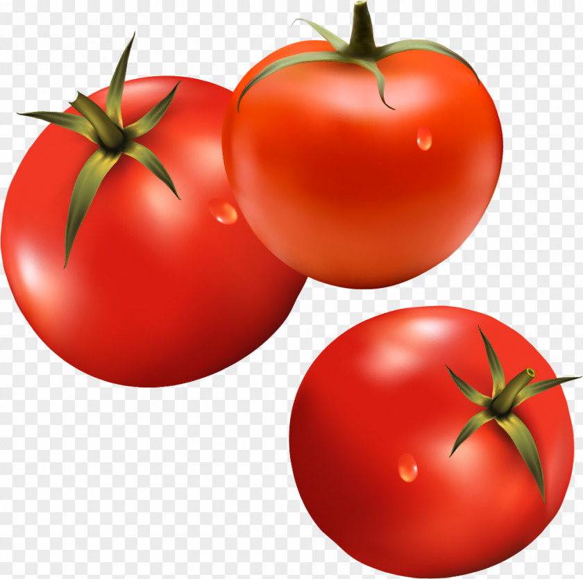 Tomatoes Vegetable Material Hamburger Tomato Ketchup PNG