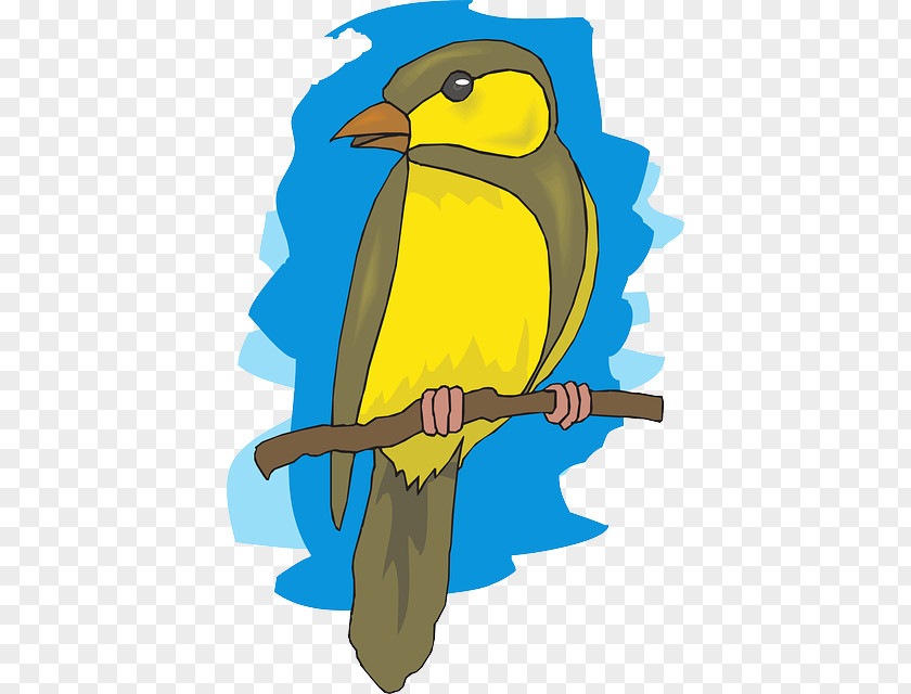 Bird Beak European Goldfinch Clip Art PNG