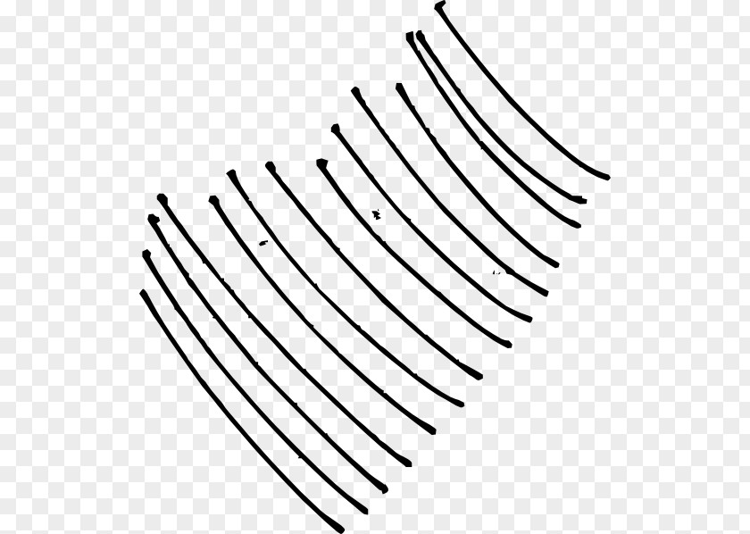 Curve Lines Line Clip Art PNG