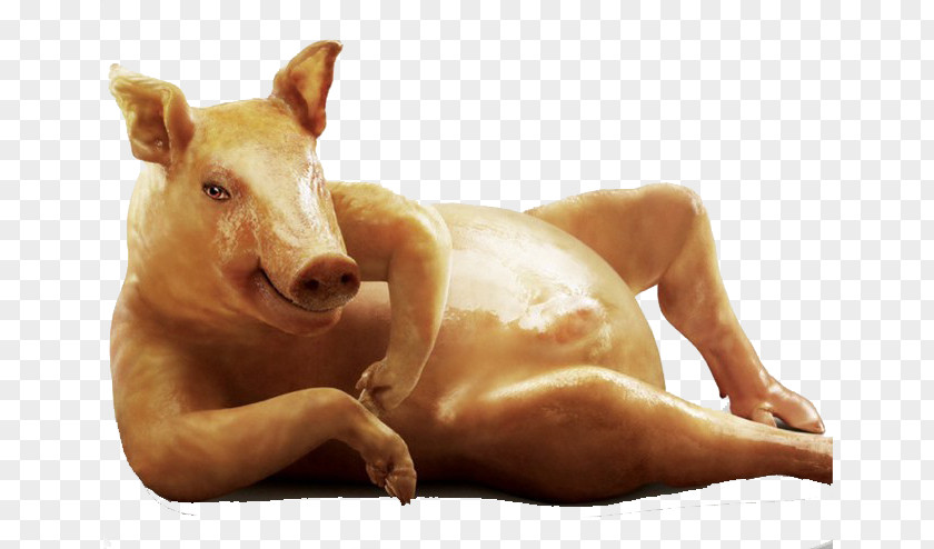 Meme Painting Domestic Pig Woman Girl PNG pig Girl, Roast suckling lying down, brown clipart PNG