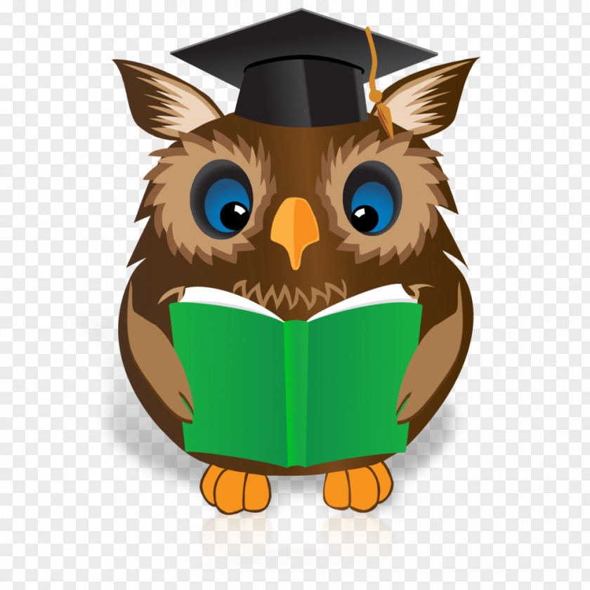 Owl Reading Book Online Writing Lab Clip Art PNG