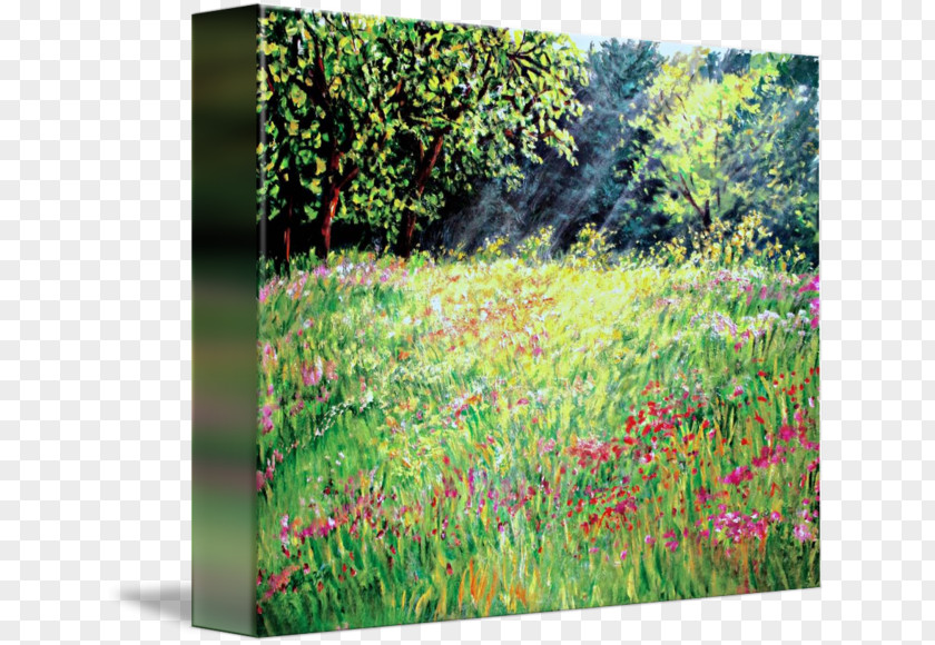 Painting Flora Meadow Vegetation Ecosystem PNG