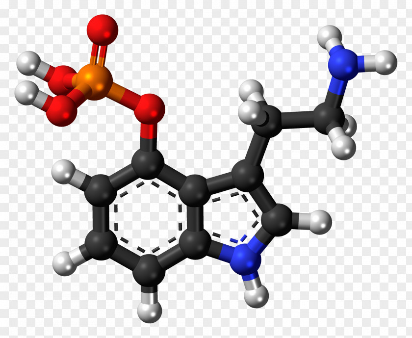 Psilocybin Mushroom Lysergic Acid Diethylamide Psilocin Magic Mushrooms PNG