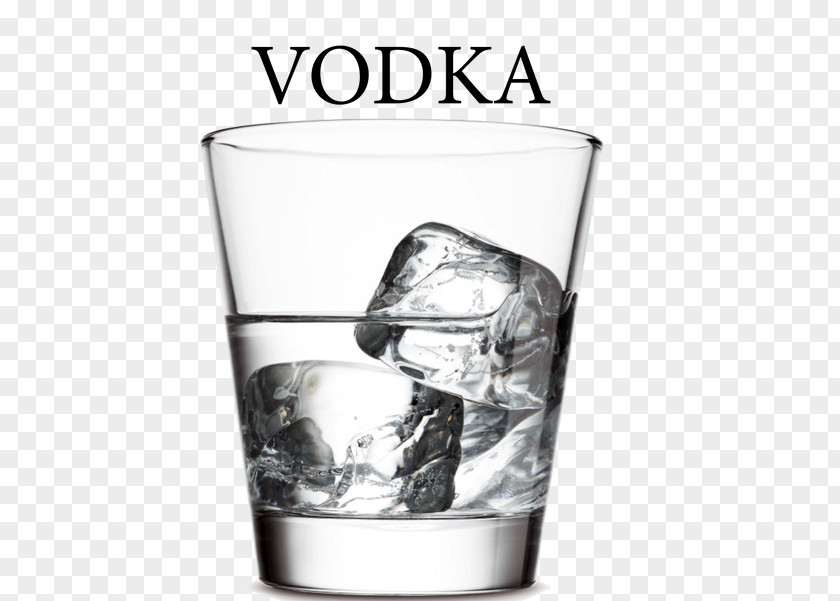 Vodka Liquor Cocktail Grey Goose Fizzy Drinks PNG