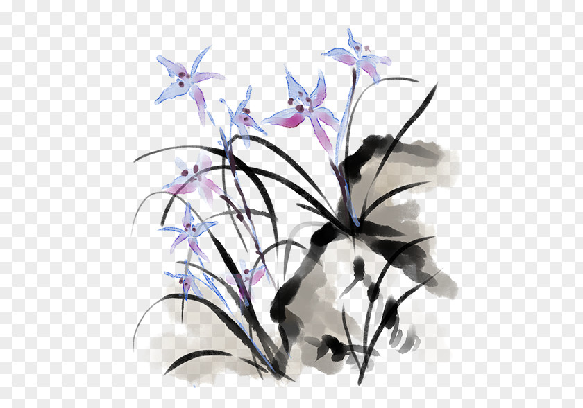 Bellflower Family Orchid Drawing Of PNG