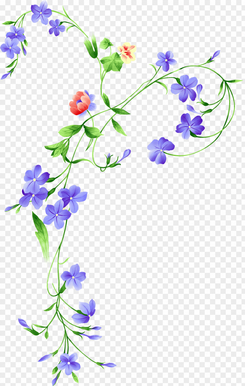 Flower PNG