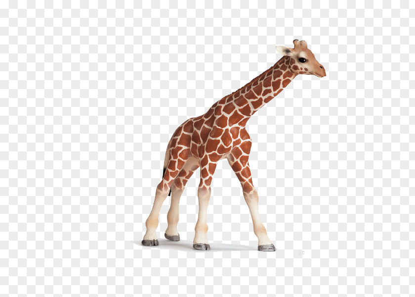 Giraffe Schleich Toy Amazon.com Calf PNG