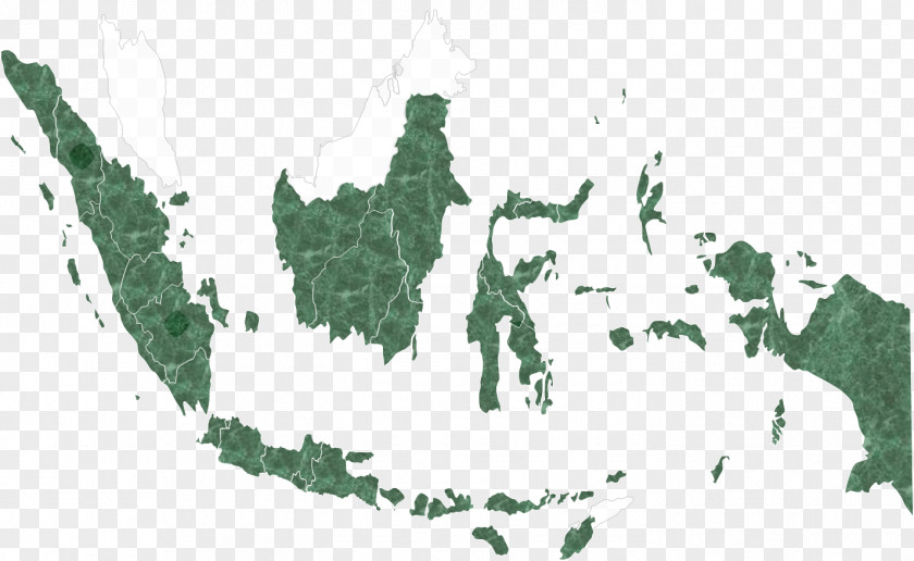 Indonesian World Map Komodo Dragon United States PNG