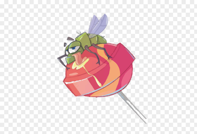 Insect Sugar Fly PNG