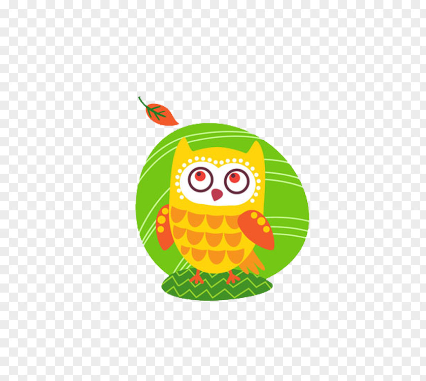 Lovely Owl Animal Numbat Illustration PNG